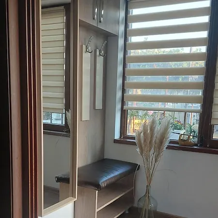 Iv With A Private Garage *