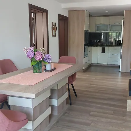 Iv With A Private Garage Appartement