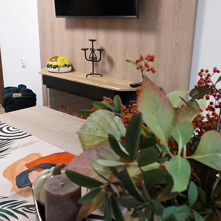 Iv With A Private Garage Appartement