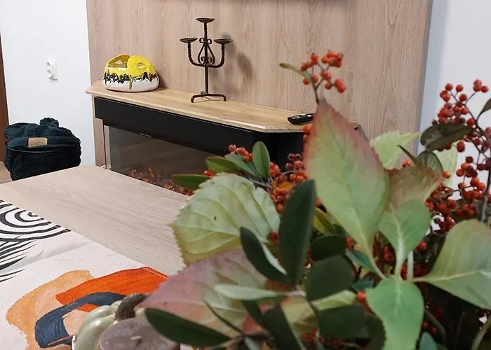 Iv With A Private Garage Apartment